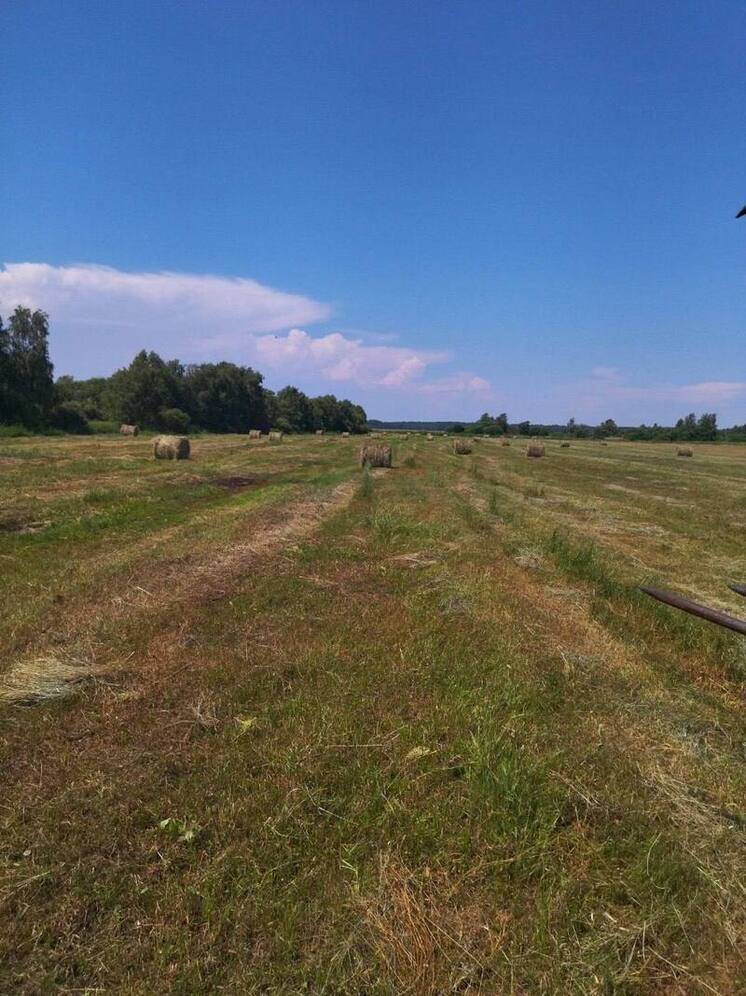 В Бурятии стартовала кампания по заготовке кормов