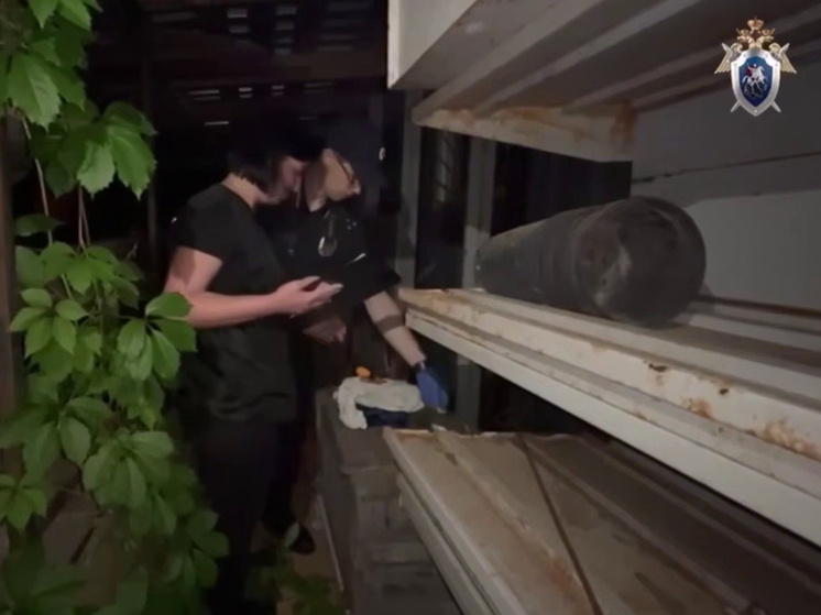 16-летний подросток, напавший на двух девочек в дачном поселке в Домодедовском районе Московской области, после совершения преступления пытался покончить с собой