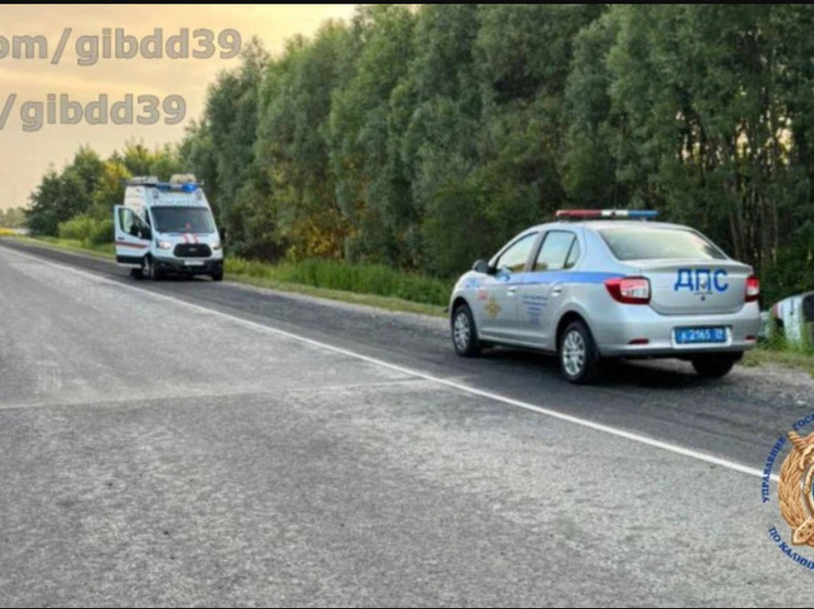 В Калининграде водитель сбил косулю на Южном обходе