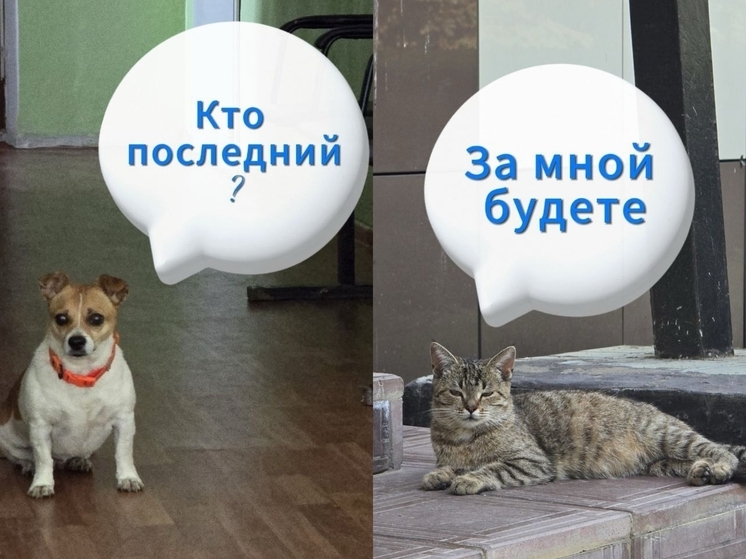 В бабынинской администрации приняли неожиданных клиентов