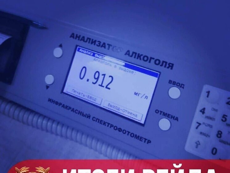 В Башкирии задержали 33 нетрезвых водителей