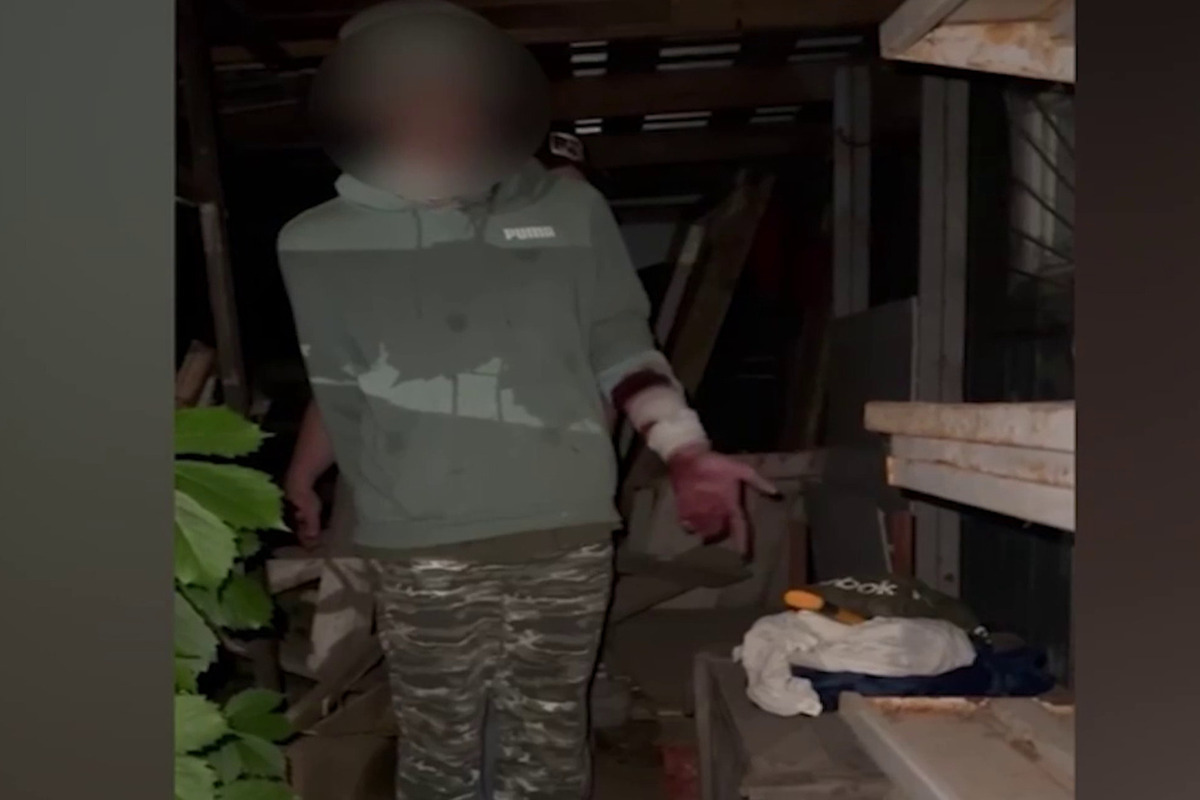 Отцом напавшего на девочек с молотком подростка оказался известный в научном мире физик