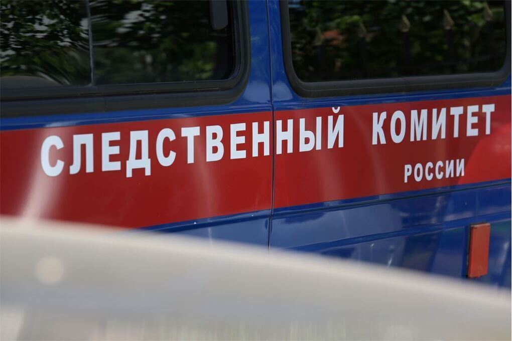 В Уфе возбудили уголовное дело по факту нападения на детей с аутизмом