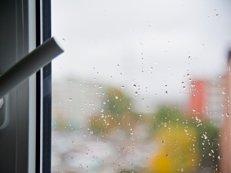 Жителям Астраханской области обещают 13 июля небольшой дождь и грозу