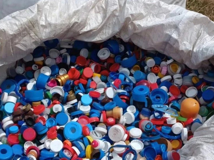 Калининградцы собрали почти полторы тонны пластиковых крышек за год