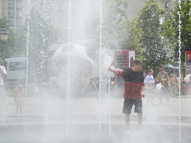 В Волгоградской области на 13 июля синоптики прогнозируют сильную жару