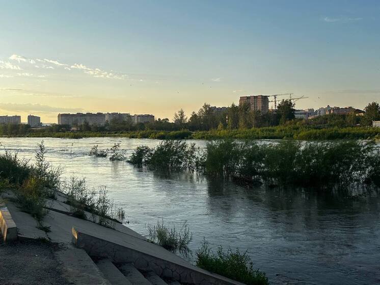 Уровень воды в Читинке спал за ночь 13 июля