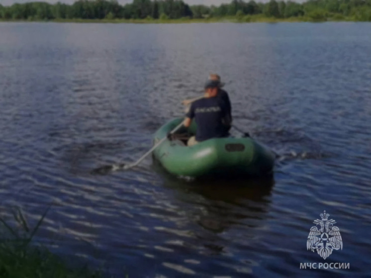 В поселке Биробиджана ищут утонувшего мужчину