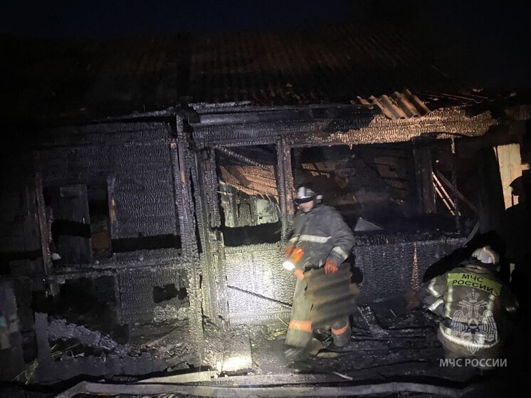 В Боготоле при пожаре в хозяйственной постройке погиб человек