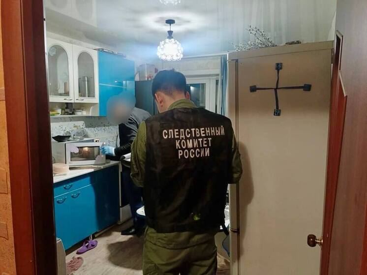 В Нерюнгри арестован мужчина, обвиняемый в убийстве соседки