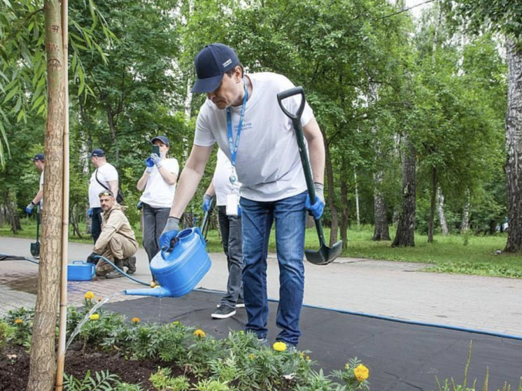 В Новосибирске высадили 1300 сосен и обновили Заельцовский парк
