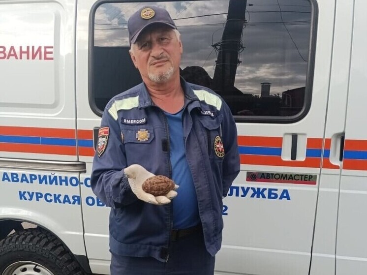 В Курске нашли гранату времен Великой Отечественной