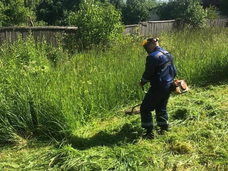 Сычёвские УФСИНовцы помогли семье участника специальной военной операции