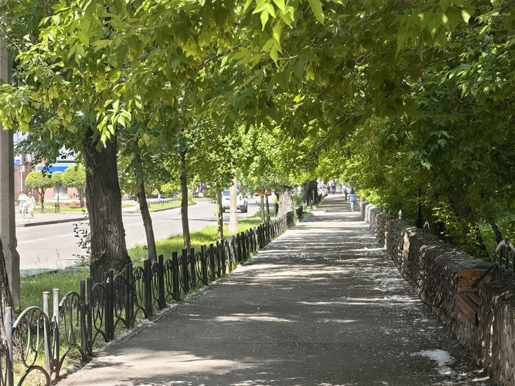 Спортсмены из Хакасии присоединились к «Молодежке Народного Фронта»