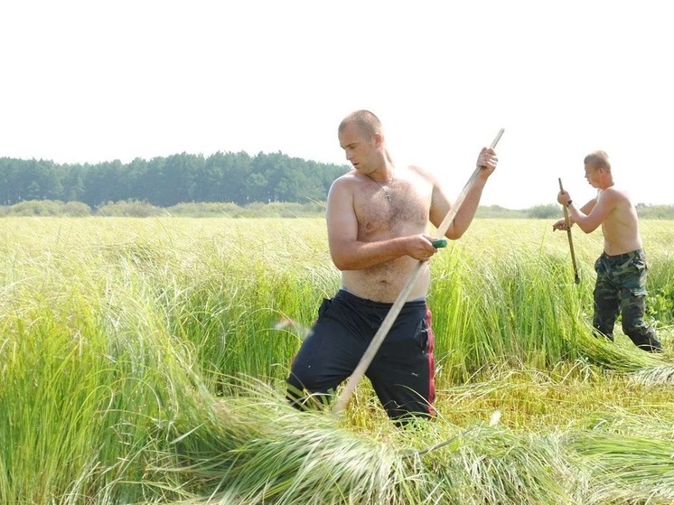 Жителям Калмыкии: завтра время труда