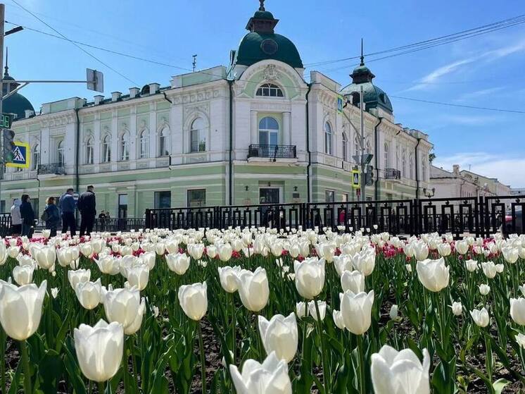 Тамбовчан приглашают на выставку о космосе