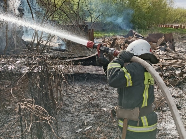 В Новоайдарском округе ЛНР из-за лесных пожаров ввели режим ЧС