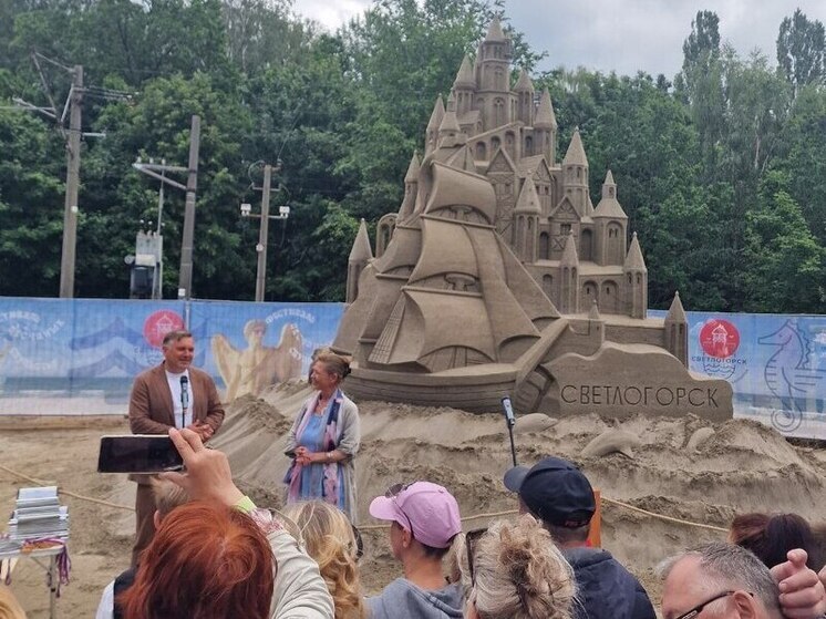 Фестиваль песчаных скульптур в Светлогорске хотят масштабировать