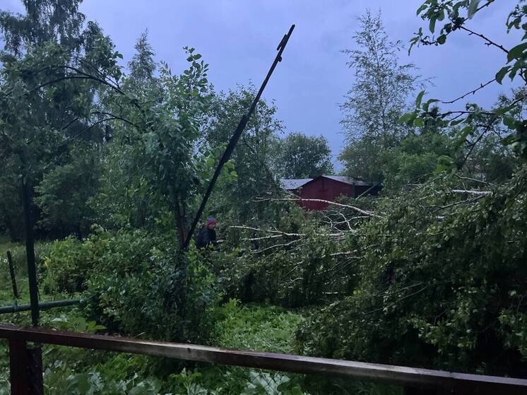 Последствия урагана в Новгородской области устраняют 83 бригады