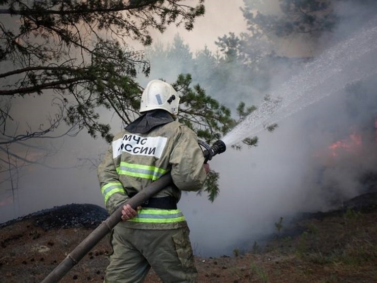 В ЛНР при ликвидации пожара погиб спасатель