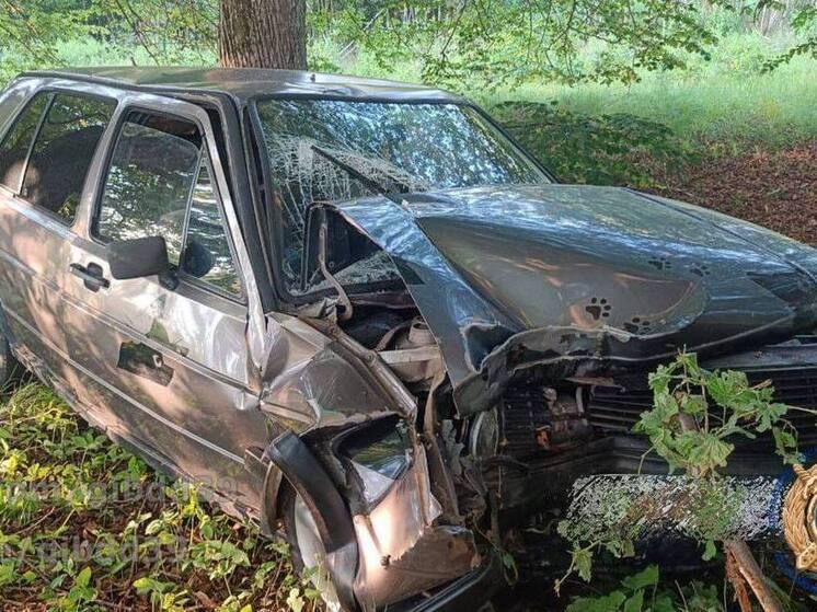 В Советске автоледи врезалась в дерево и попала в больницу с двумя пассажирами
