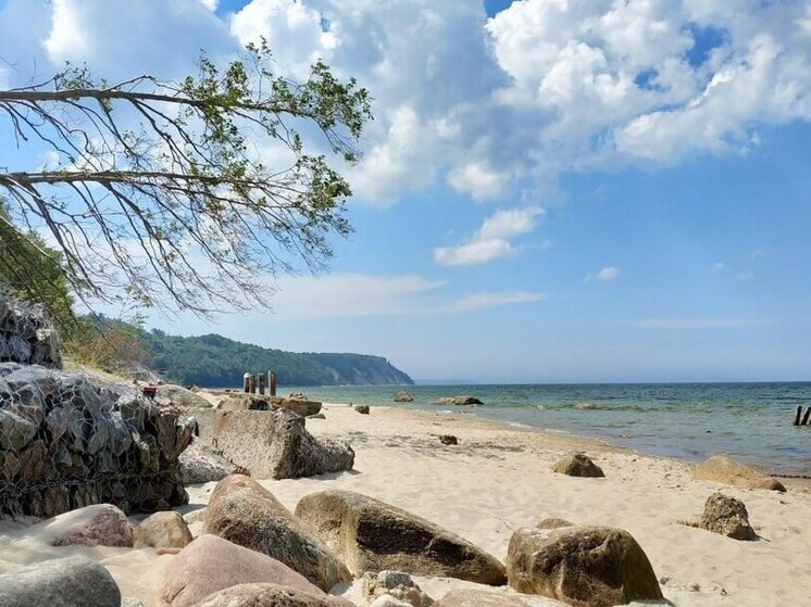 В Калининграде вода в море прогрелась до +17 градусов