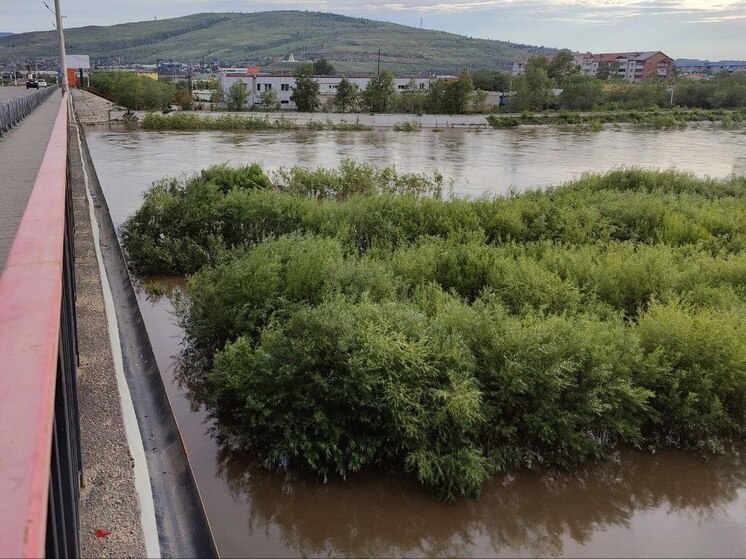 Осипов: Вода в Читинке поднималась выше уровня 2018 года