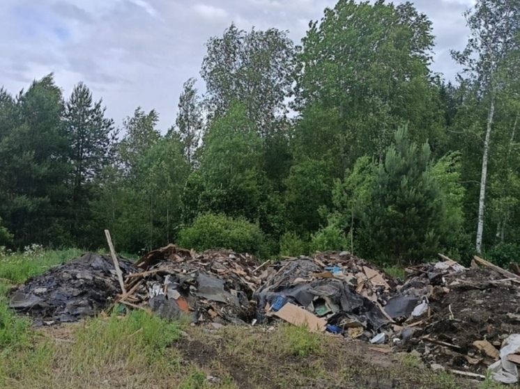 В Козельском лесничестве нашли строительную свалку