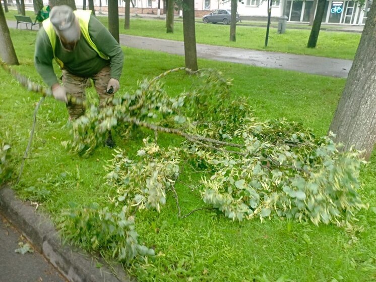 Ураган разбросал по дорогам Великого Новгорода 14 деревьев