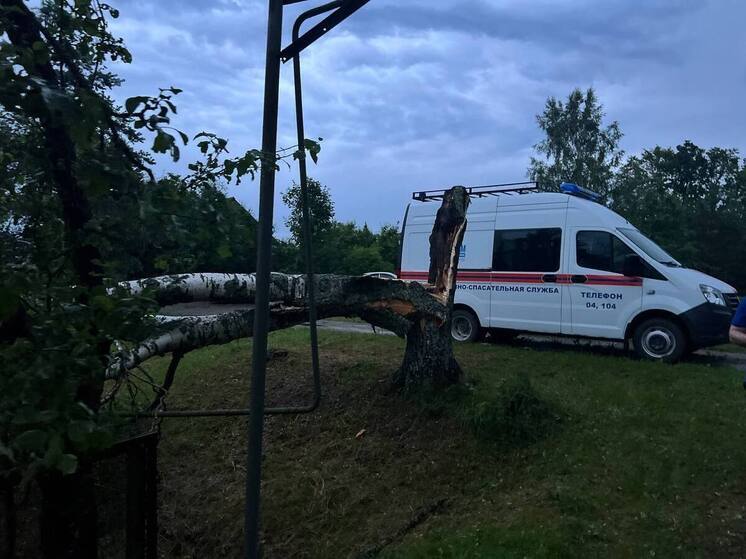 В Старой Руссе полностью восстановили электроснабжение после шторма
