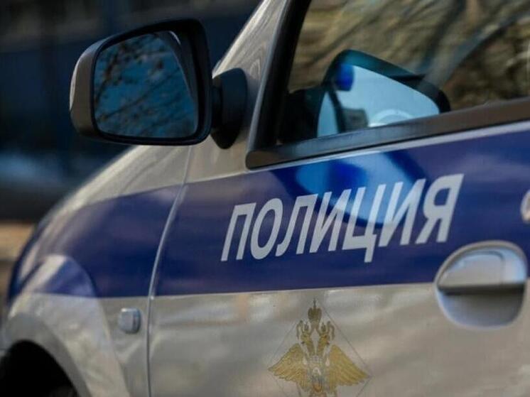 Полицейские призывают взрослых туляков позаботиться о детской безопасности