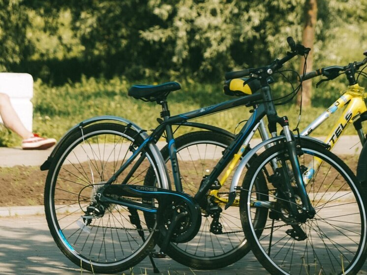 Непристегнутый велосипед стал добычей вора в Абакане