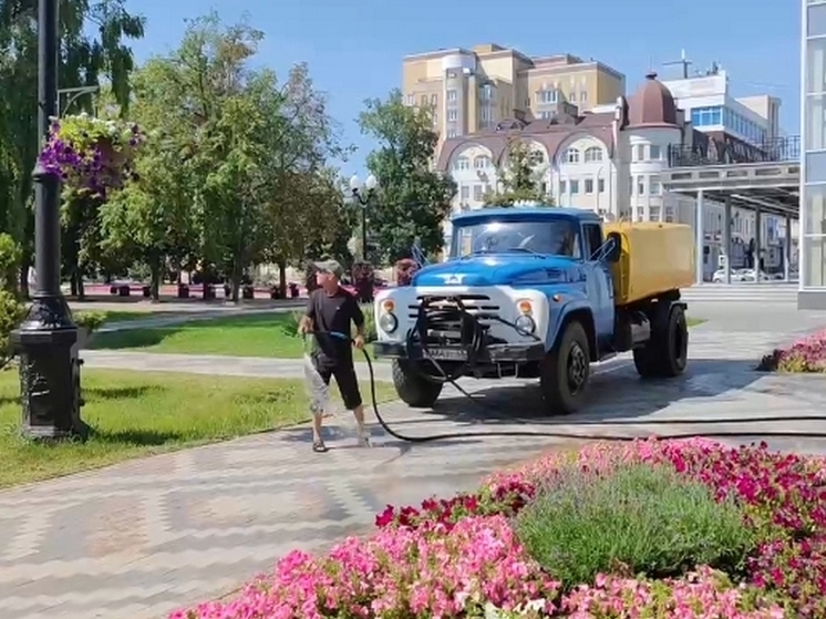 В Тамбове в усиленном режиме поливают цветы на улицах