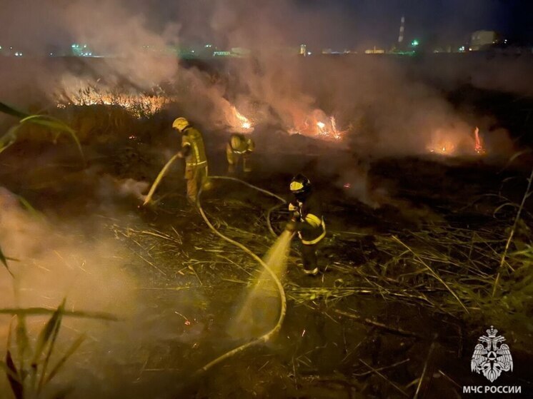 На юге Волгограда огнеборцы тушат ландшафтный пожар