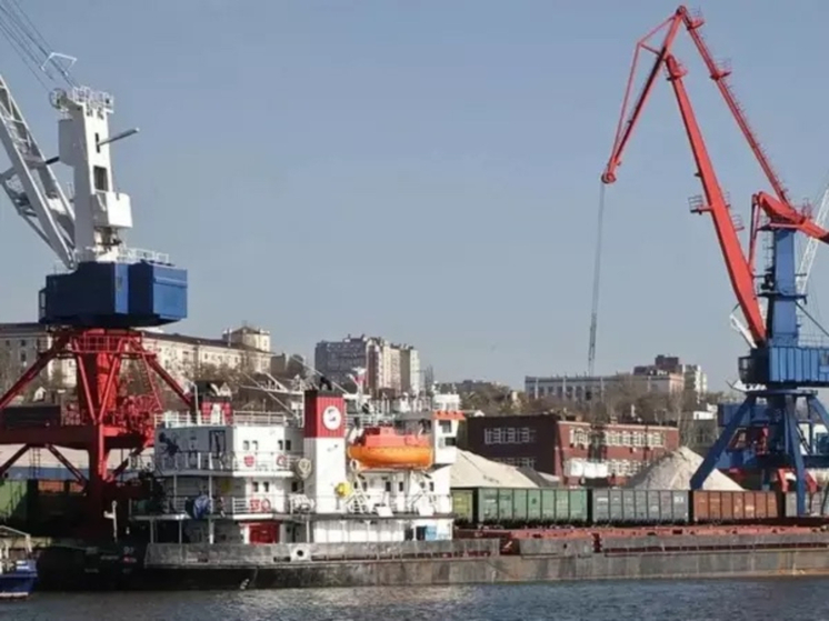 В Ростове грузооборот местного порта уменьшился на 26%