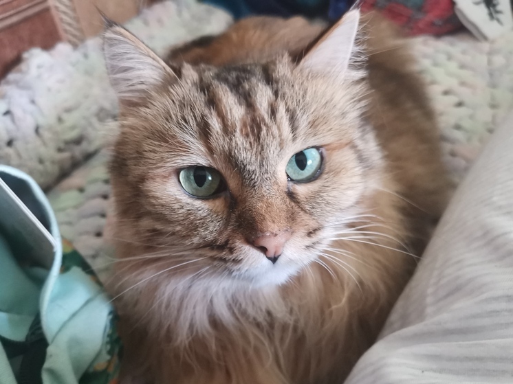 На Приморье обрушатся дожди и грозы: синоптики предупредили о резком изменении погоды