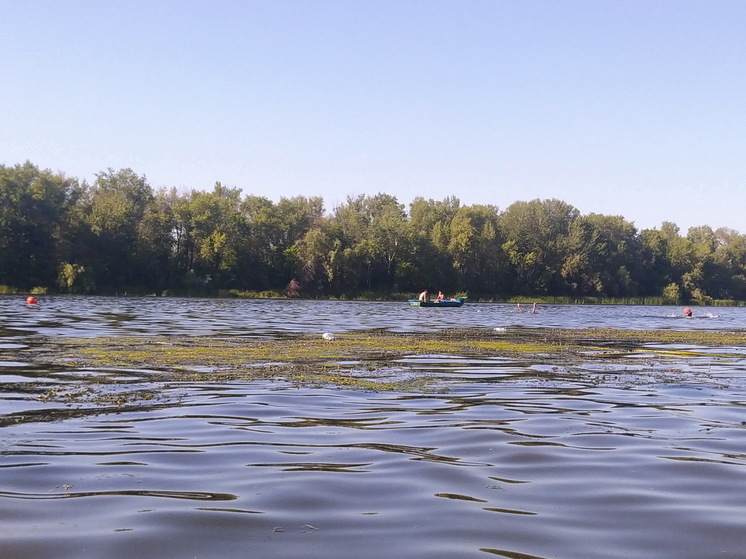 На бывшем платном энгельсском пляже грязь, водоросли и отсутствие зонтиков