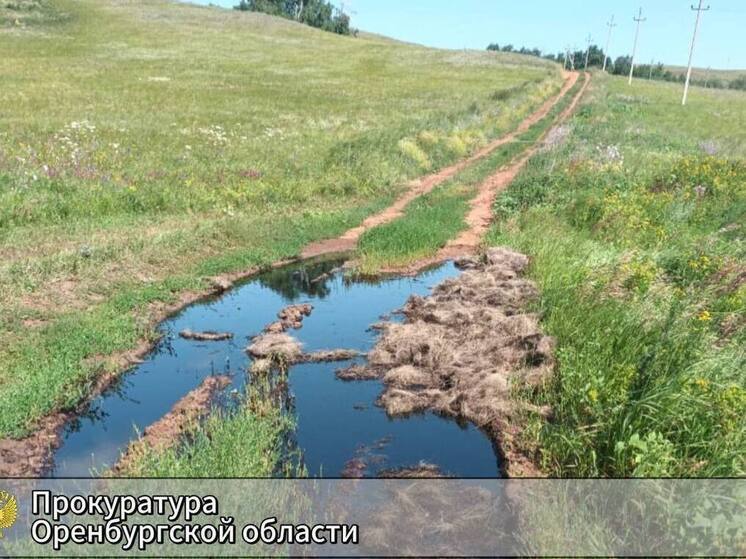 В Переволоцком районе произошёл разлив нефти