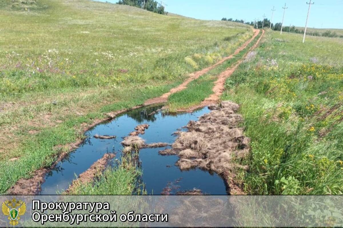 В Переволоцком районе произошёл разлив нефти