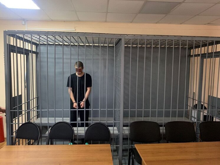 Молодого человека, убившего девушку в Большом Луге, заключили под стражу