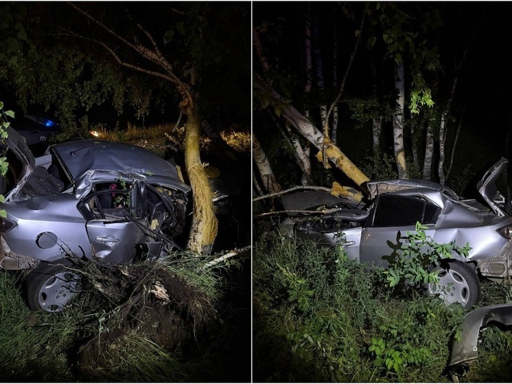 Водитель и пассажир погибли в Хакасии из-за дерева у дороги