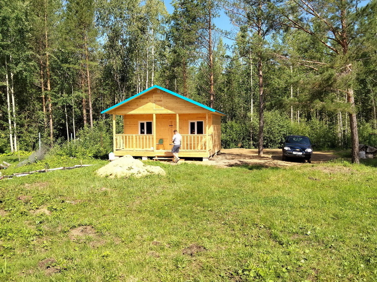 Обычный газон станет райским: вот как можно сделать его у себя на даче - полезный лайфхак для дачников