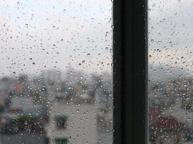 Дожди не хотят уходить из Псковской области