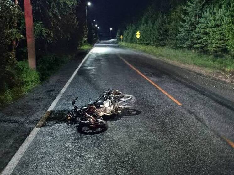 В Абазе электроопора «перебежала» дорогу мотоциклисту