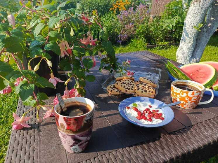 Какие важные дела нужно успеть сделать на даче в июле: для дачников, которые хотят эффективно поработать в огороде