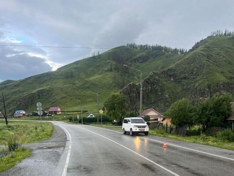 На Алтае женщина сдала назад, сбила подростка и скрылась с места ДТП