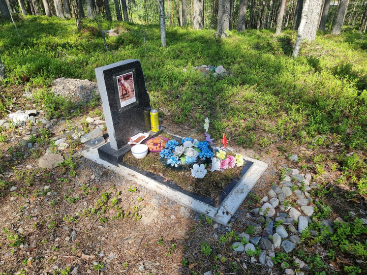 В лесу Кондопожского района Карелии обнаружено кладбище собак