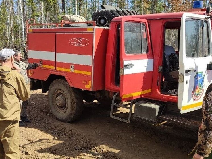 В Красноярском крае за выходные ликвидировано 39 лесных пожаров