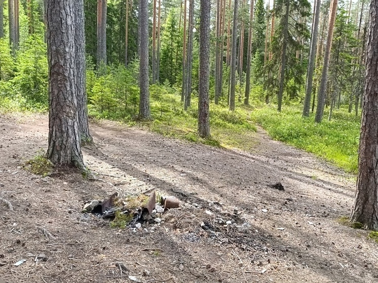 Туристы загрязняют набережную в Лахденпохье