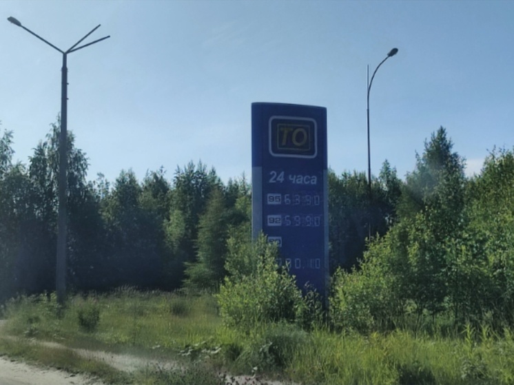 Цены на бензин в Сегеже достигли новых высот